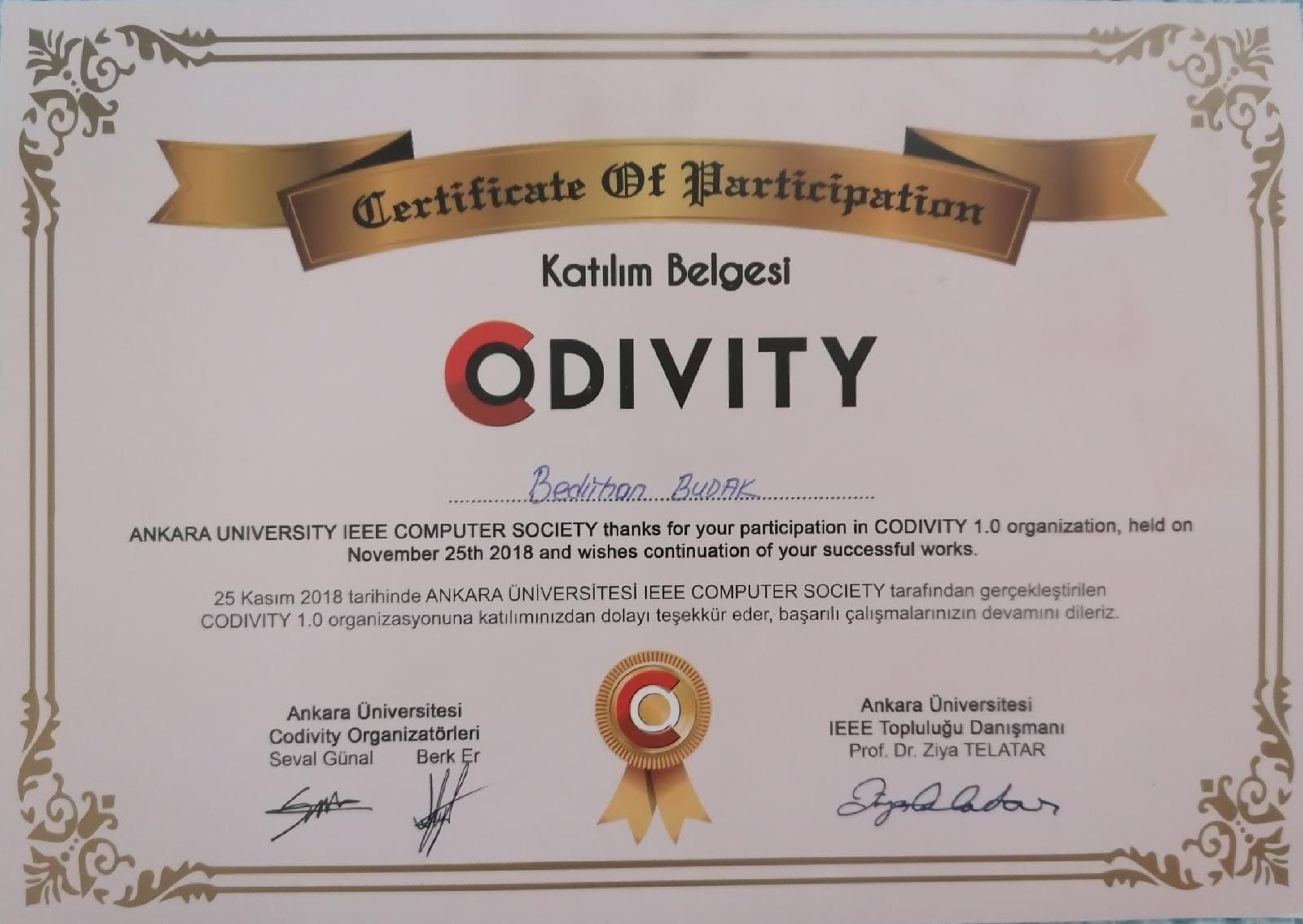 Codivity Organization certificate